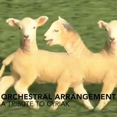 Cyriak 'Baaa' Orchestral Arrangement