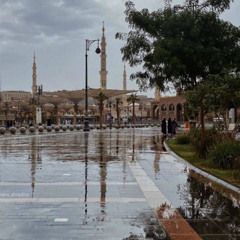 ‎⁨تلاوة آسرة وعطرة من سورة النساء | عبدالرحمن الماجد⁩