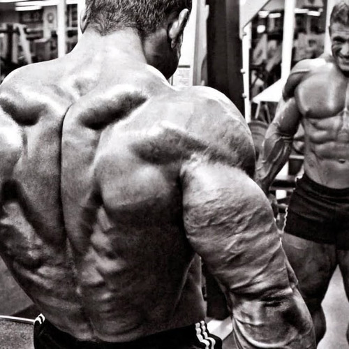 You get out what you put in - Dorian Yates x Mareux