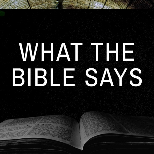 What the Bible Says: Money | Neal Rich | 10.9.22