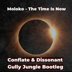 FREE DOWNLOAD Moloko - Time Is Now (Conflate & Dissonant Gully Jungle Bootleg)