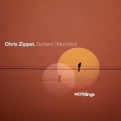 313-SR Chris Zippel - Sunbird | Moonbird - Stripped Recordings
