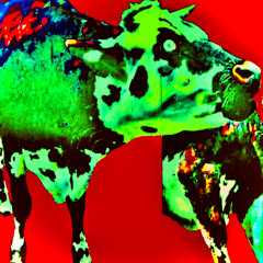 Bull In China Shop Mix #2