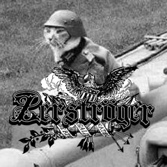 4𝖗𝖞4𝖓 Patriot (Single release)