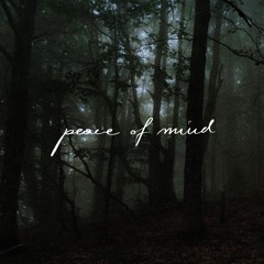 peace of mind (demo)