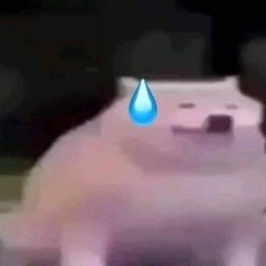 Học 👾