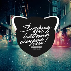 Sợ Rằng Em Biết Anh Còn Yêu Em (Orinn Remix)