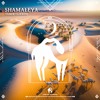 Tamer ElDerini - Shamaleya (Cafe De Anatolia)