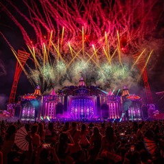 KNOCKOUT OUTDOOR 2025 | GAMMER