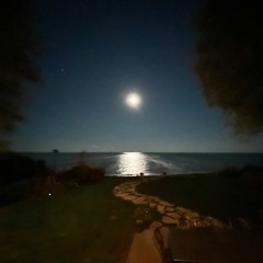 Living in a Hole (Demo)