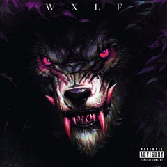 @DIRTYWXLF - MOBBIN' (prod. Sooicyzay x CheaperTherapy)