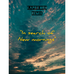 Kaprikorn remix - " In Serach Of New Mornings " 2022