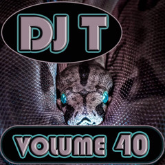 DJ T Volume 40