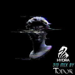 HYDRA 313 - Todor