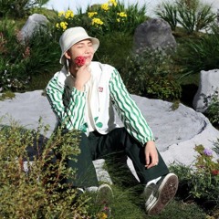 RM - Monterlude ft. Jungkook (2017)