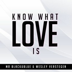Mr Black Blue Wesley Verstegen Know What Love Is