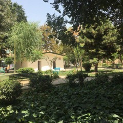 محل
