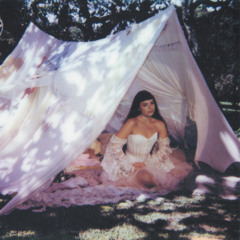 Maravilhosamente Bem