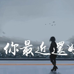 Lil Ghost小鬼-王琳凯 - 你最近还好吗「你最近过得还好吗，是否还会想起他」【動態歌詞/Lyrics Video】