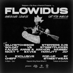 Flowidus Steppers Streetflicker Promo Mix Feb 2024