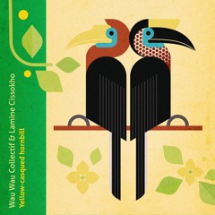 Wau Wau Collectif Feat. Lamine Cissokho - Yellow-casqued hornbill