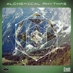 2 - A.N.T - I Go Loco - Alchemical Rhythms
