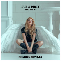 Seabra Monkey’s Dub & Dirty Mixtape V5