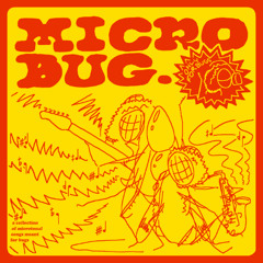 MICROBUG