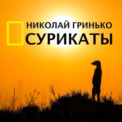 Николай Гринько - Сурикаты
