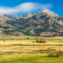 Montana Was There