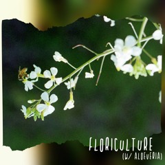Floriculture (w/ Aloeveria)
