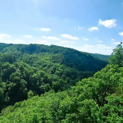 above
