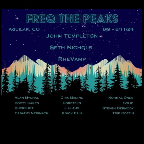 Steven Dermody at Freq The Peaks 2024