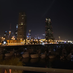 ازعل على الدنيا وأهلها و راضه