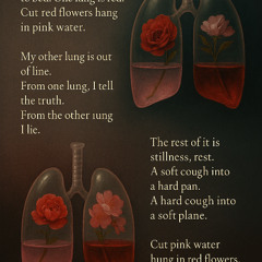 Pink Water