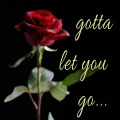 Gotta Let You Go