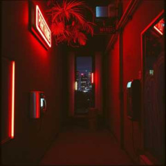 Concrete Jungle Bounce