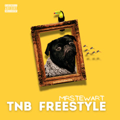 T n B Freestyle