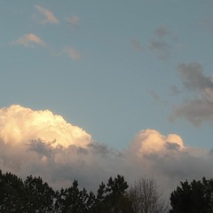 jun 15