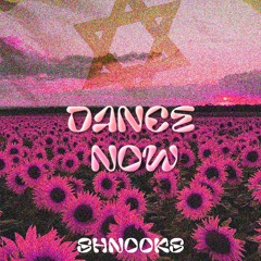 Dance Now - Omer Adam (shnooks Edit)