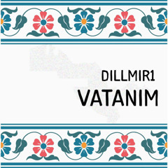 VATANIM