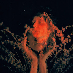 Salvador Dali (Fla.mingo Remix)