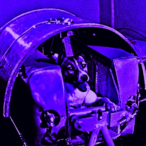 Mosh Militia X SPP - Space dog [PROD. ZEVY x MOONRXCK]
