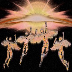 Bitchtook prodwocctivist