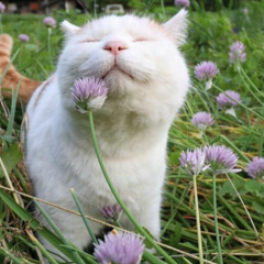 Garments w/DanNoCap (Prod. jk8)