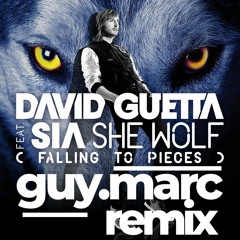 FREE DOWNLOAD - David Guetta Ft. Sia - She Wolf (Guy Marc Remix)(Extended)