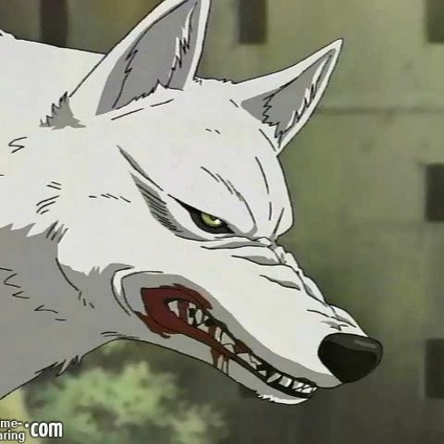 Wolfs Rain Anime