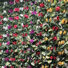 shittyplaylist (kenzee + typhelicia)