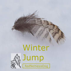 Winter Jump