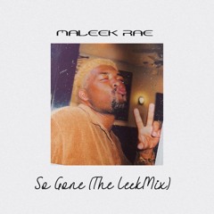 SO GONE The Leekmix(Monica Cover)